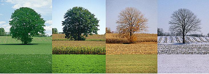 Bungie表示工作室将致力于支持员工健康